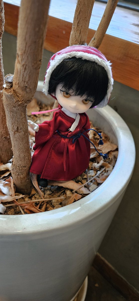 붉은 색이 너무 잘 어울려 이뻐 그야말로 최고의 백호입니다 🐅