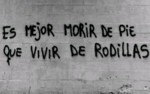 Banderazos Callejeros (@banderazoscjs) on Twitter photo 