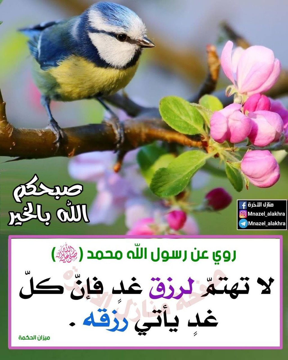 صلاح صلاح (@altaaliqani) on Twitter photo 