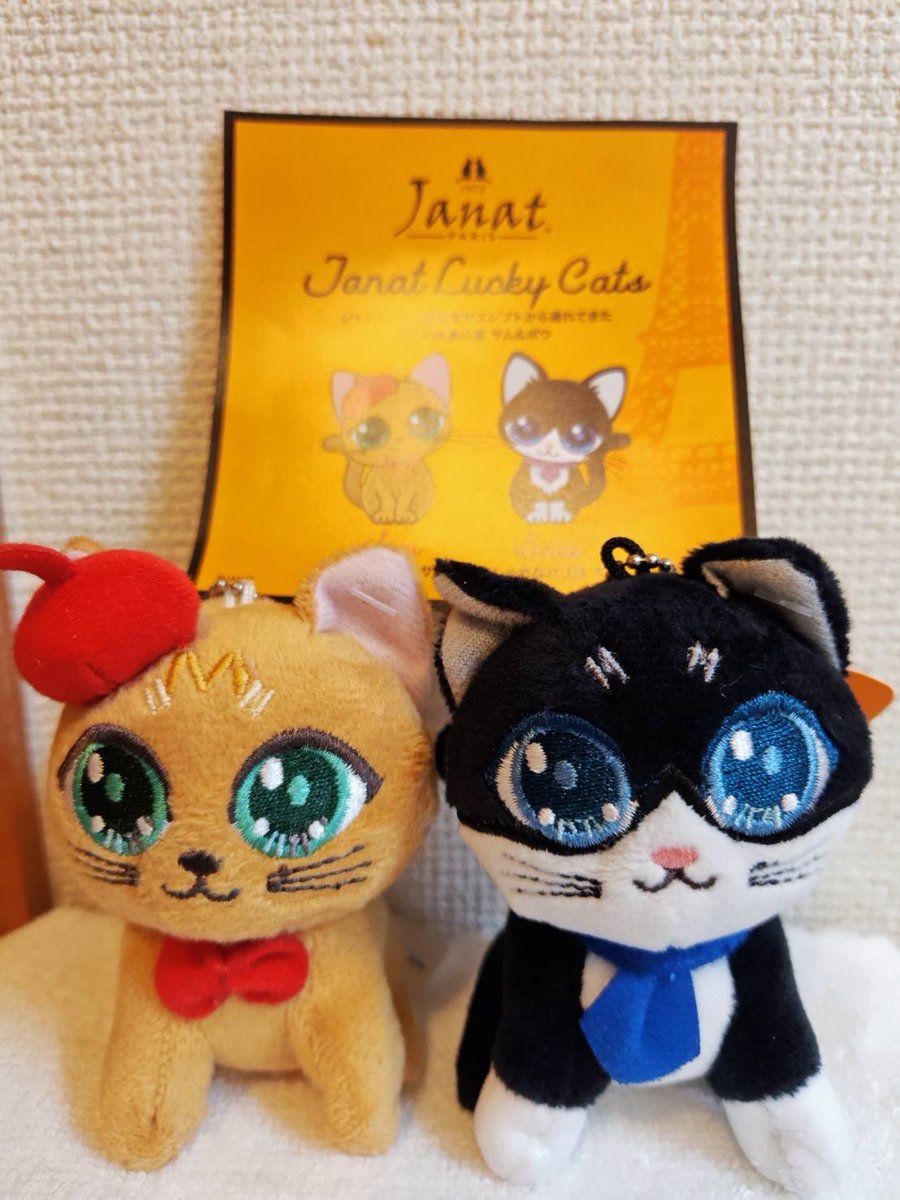 noriちゃん NORI on X