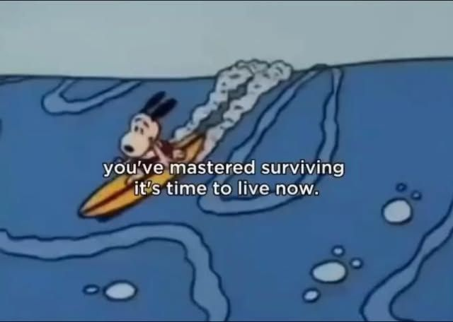 SeekingAnon's tweet image. 