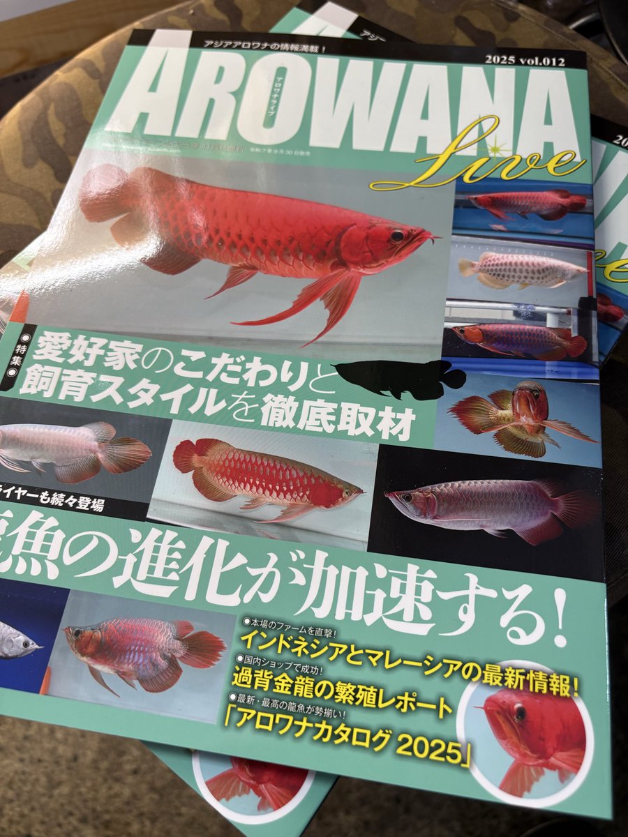 アロワナライブ入荷しました😘