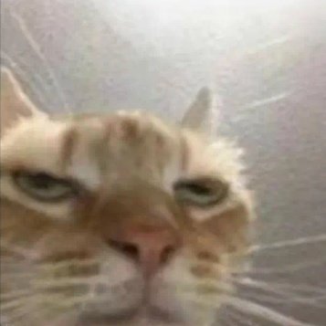 Godamhammer's tweet photo. My response to weird people on this platform: https://t.co/z8wCncDjgF