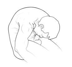 Así se ve este post