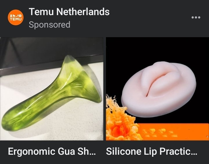 What's going on in the Netherlands?!