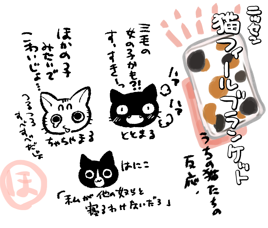 ニッセン 猫Feelブランケットについてのうちの猫反応まとめ。本当に猫の手触りしてる。
