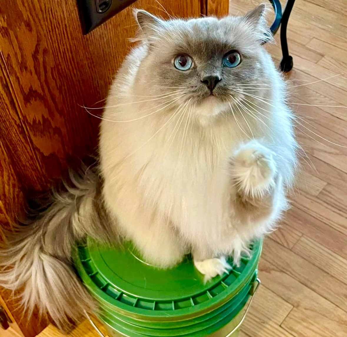 Later! 👊 😴🌙🤠