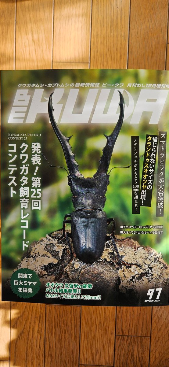 今年最後に羽化した子😊
つい先日掘り出した能勢SR
今年羽化のオオクワはこの子で終わり😌
サイズはともかくおしりが小さくしまっていて個人的には好きな形♪

同サイズの川西と比べてみるとやはりスタイリッシュ笑

BEKUWAも昨日の帰りにゲットしてきました😊
飼育レコード皆さん本当に凄いな👏✨