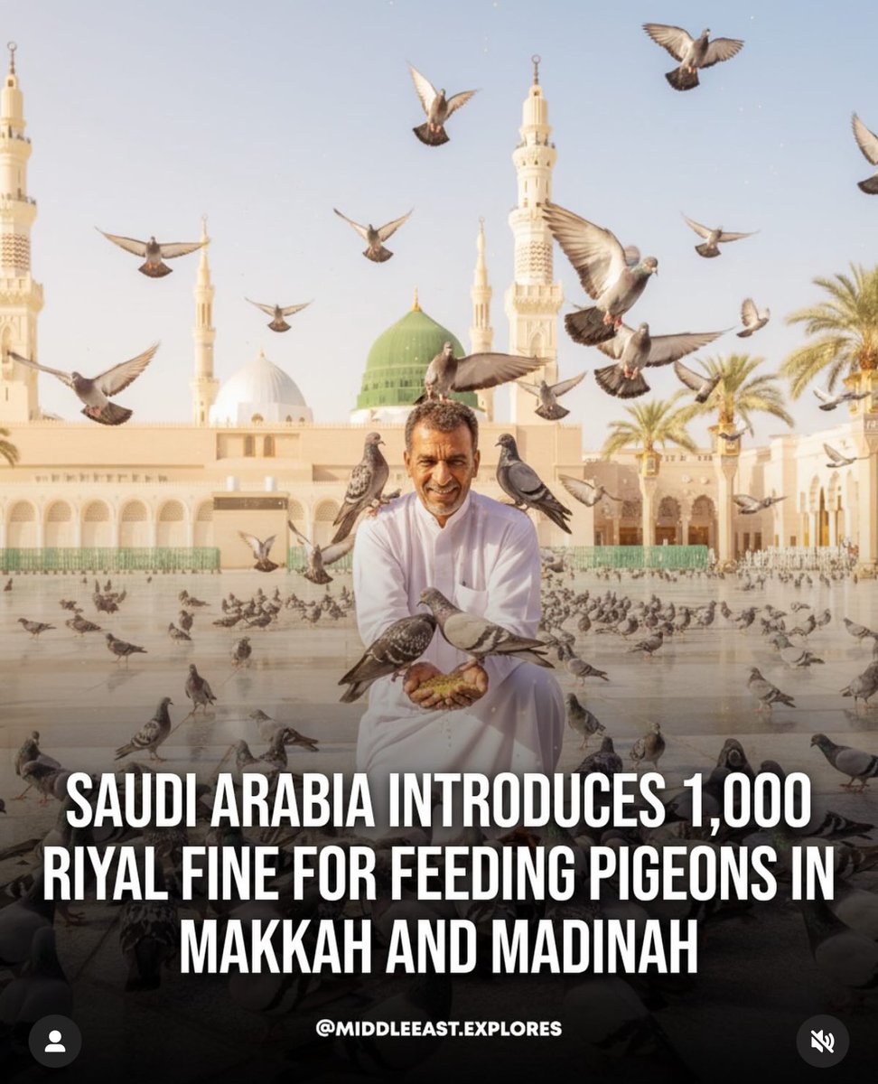 HezeriSamsuri's tweet image. Ramai tak tau Masjidil Haram belanja besar nak bersihkan taik burung. Setiap sejam dia keluarkan team bersihkan lantai.

Taik merpati ni ada kuman-kuman yang sangat merbahaya. Aku tau sebab mak aku pernah masuk ICU akibat dia cuci taik merpati yang kami bela di rumah dulu.…