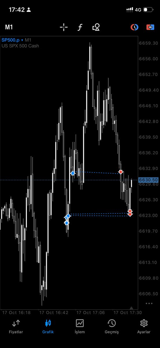 torun torba toplanın sikim bizi