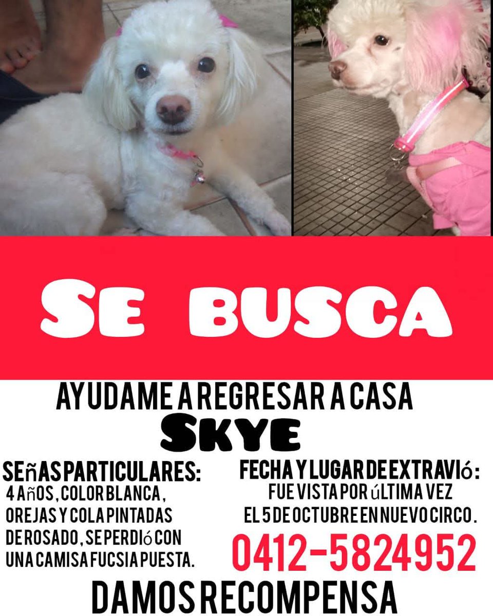 Su familia sigue buscando a Skye, Caracas Nuevo Circo
