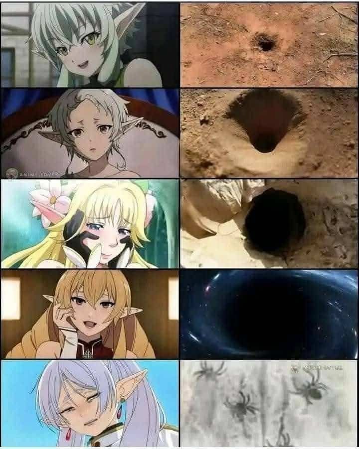 Eu não gostaria de ter entendido...