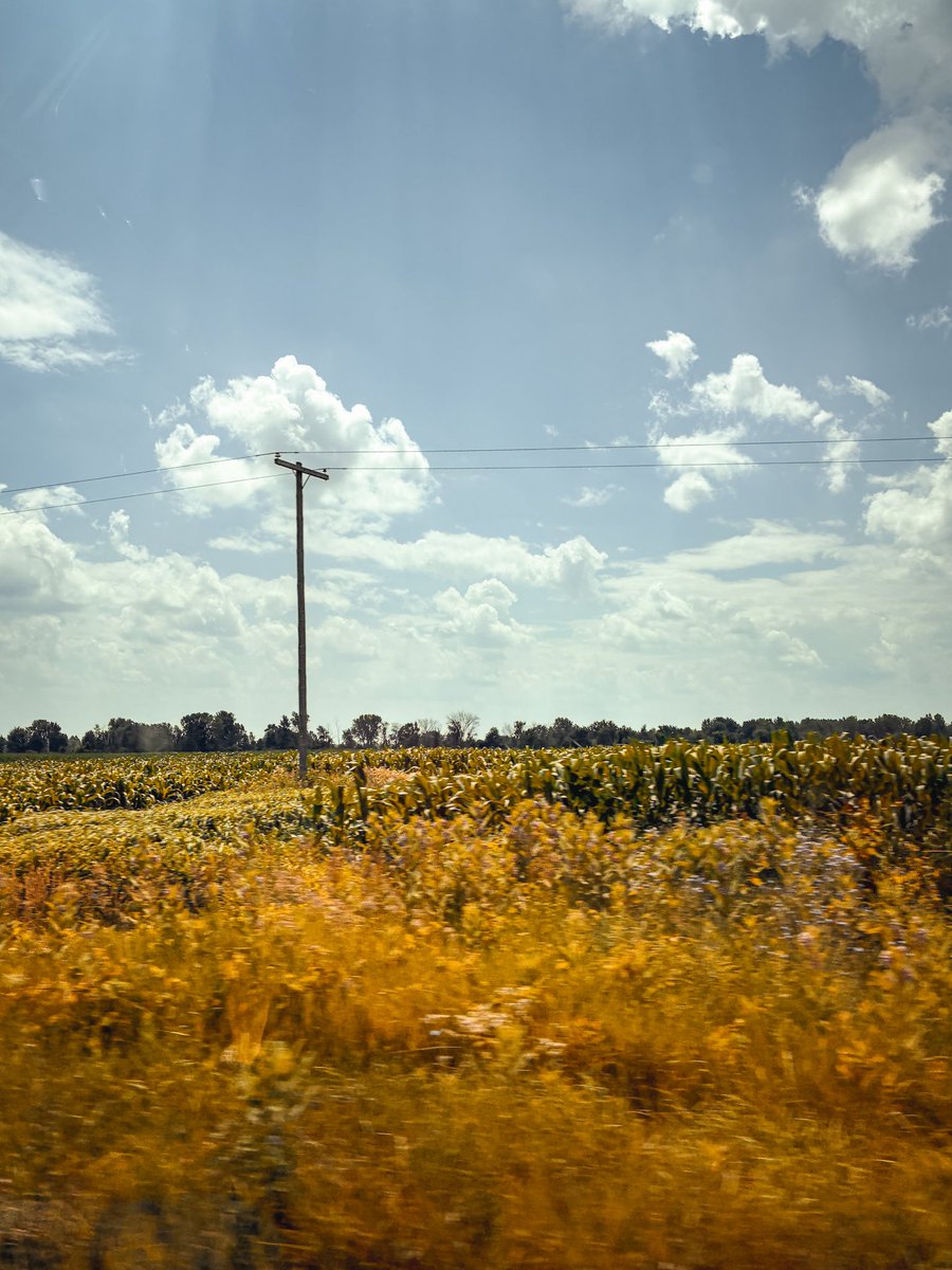 WhyDexi's tweet image. Here’s some of my recent photos I had the pleasure of working on