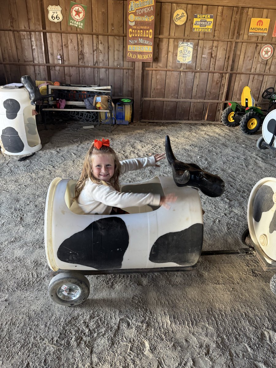 BeautyBabesBall's tweet image. Busy/fun day at McCall’s Pumpkin Patch! Field trip day with Mama!👧🏼👦🏼🥰🍁🍂🧡🤎
#fridayfun #pumpkinpatch #newmexico #fallfun #october #fall #lovethem