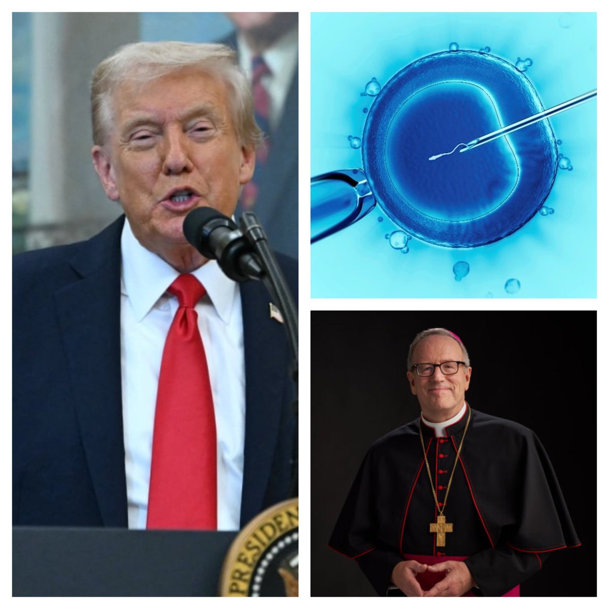 🇺🇸 

Bishops Barron, Rhoades and Thomas have released a strong statement warning against IVF after access to it was expanded by the US government: 

“Every human life, born and preborn, is sacred and loved by God. Without diminishing the dignity of people born through IVF, we