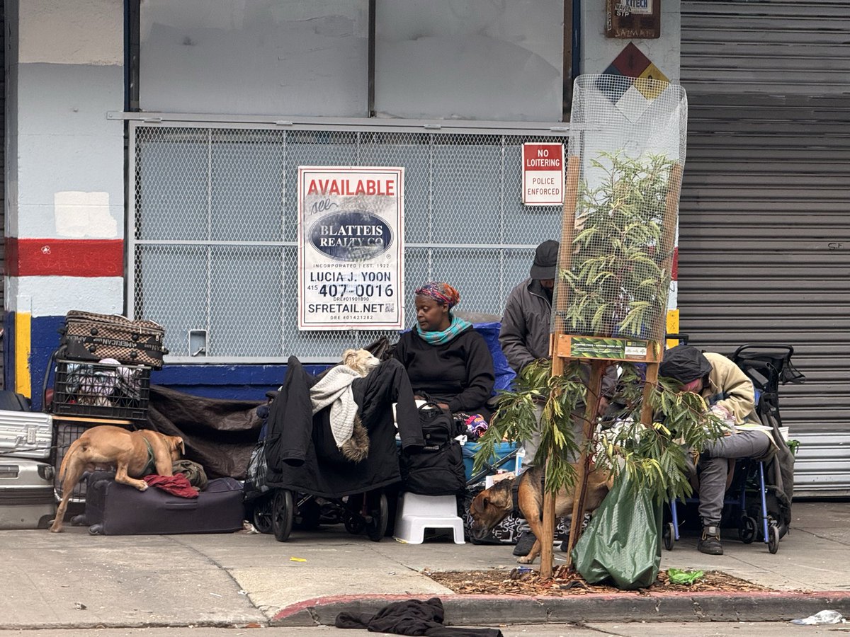 💥Susan Dyer Reynolds🗞️ tweet media