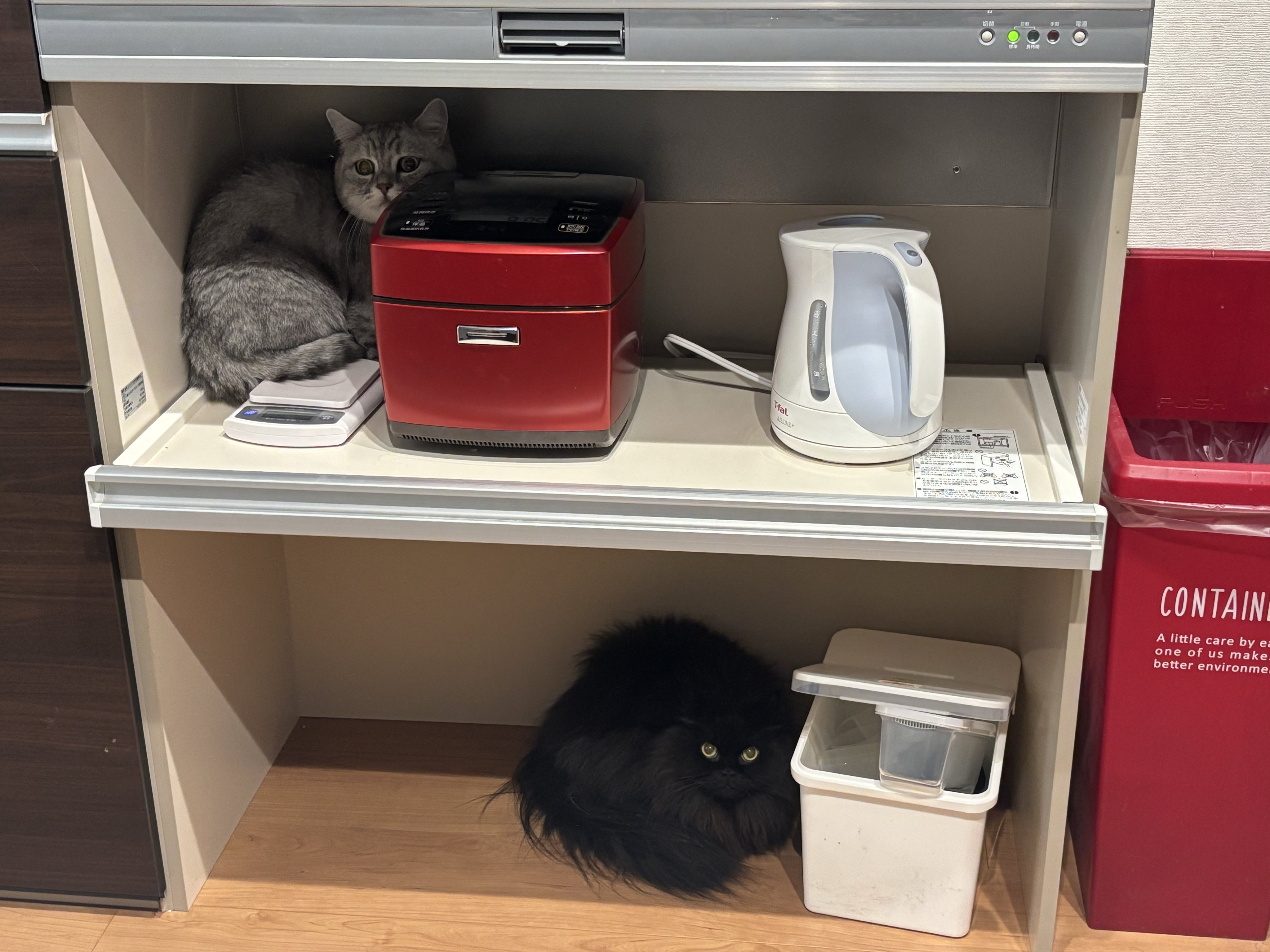 RAKUさん専用　※他の方は購入をお控え下さい※ 楽天市場】【特典付き】［ 冷蔵庫中棚下伸縮ラック タワー