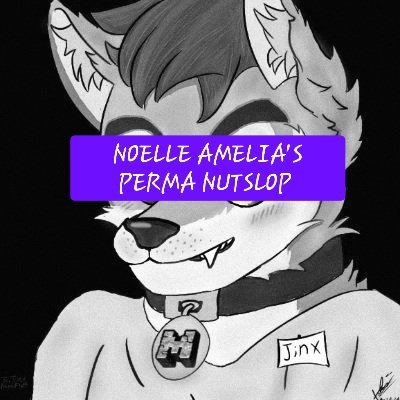 Noelle Amelia tweet media
