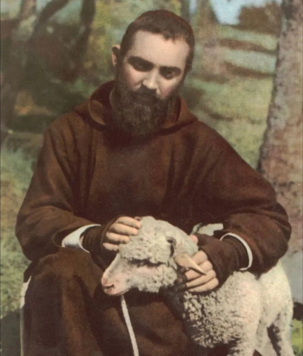 "Pray, hope, and don’t worry. Worry is useless. God is merciful and will hear your prayer.” 

- St. Padre Pio
