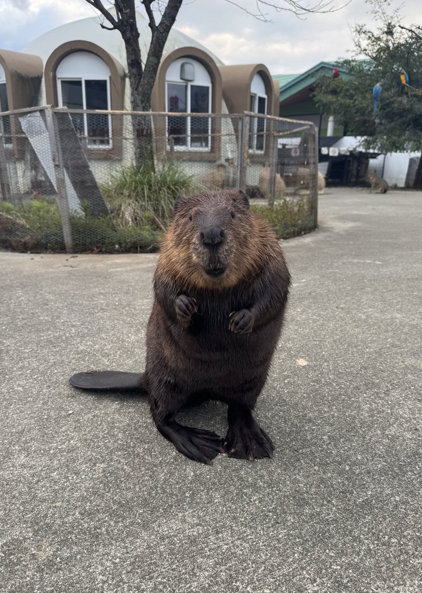 あっ、野菜持ってる人ですか？