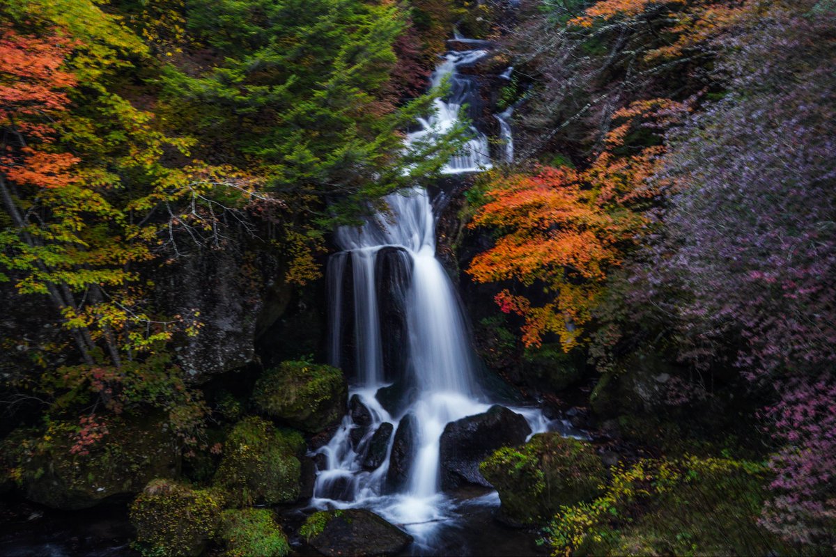秋が降りてくる。あっという間に冬がくる。#NIKKO