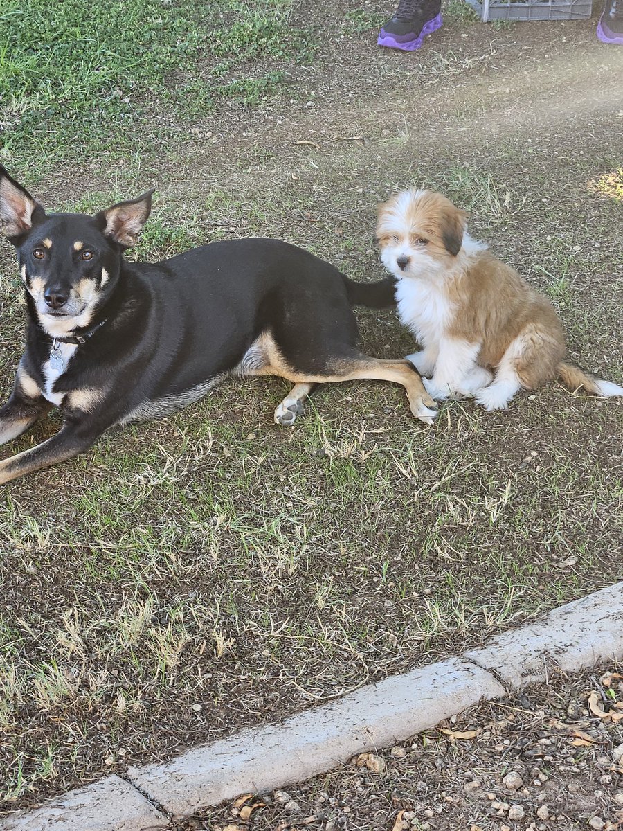 CProffitt8's tweet photo. Best friends https://t.co/CW60Ui8bBY