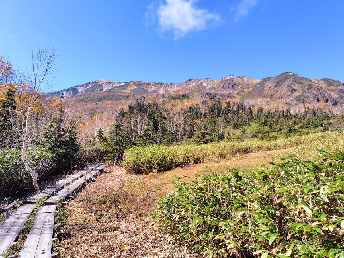 とをる tweet media