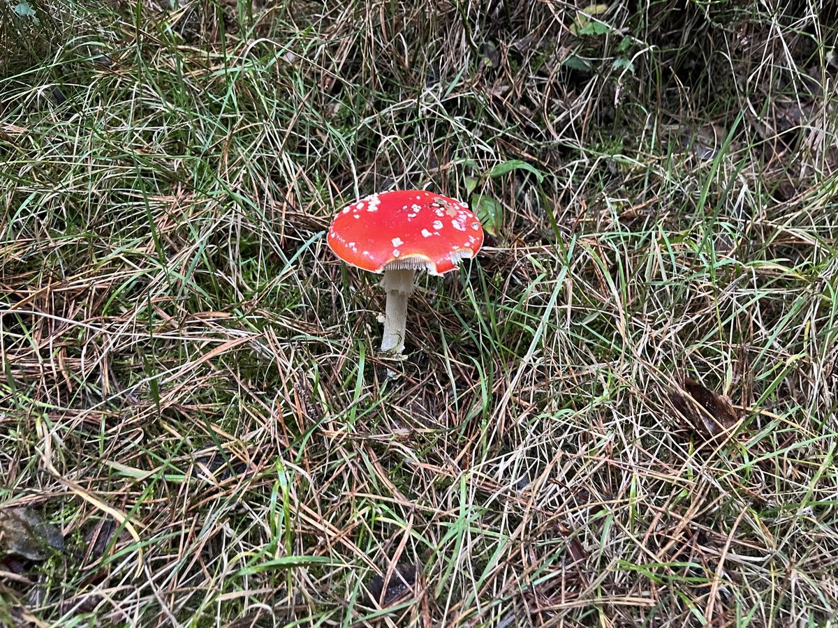 szy (@szymszl) on Twitter photo 