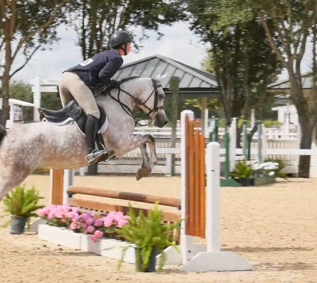 Underworld Arabians tweet media