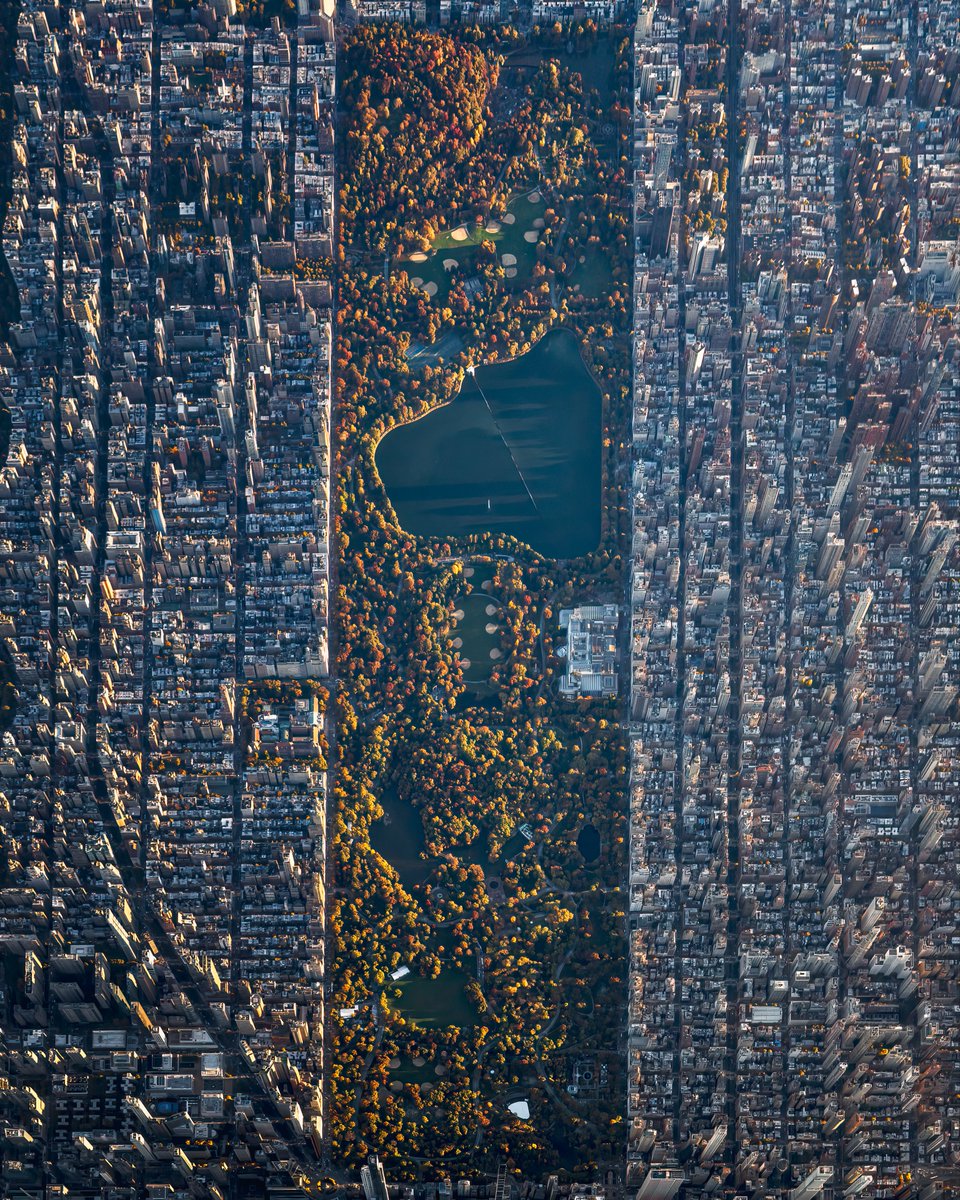 Paul Seibert tweet media