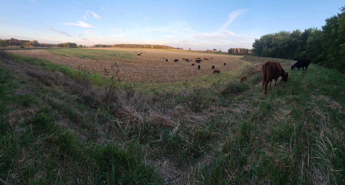 Derek Menold tweet media