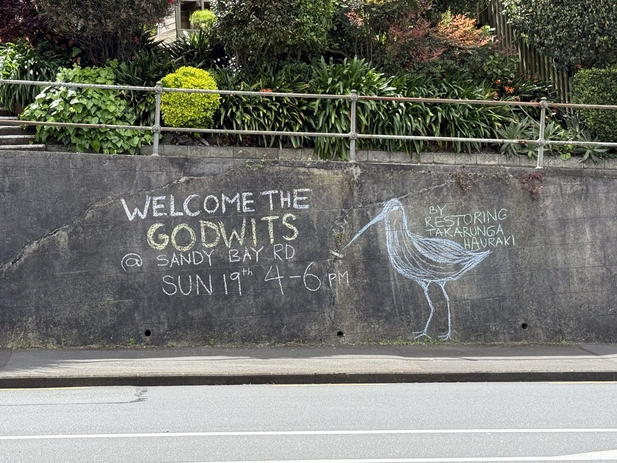 Becs 🍉 tweet media