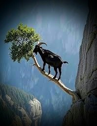 Necesito una cantidad inusual de silencio todos los días. #GOAT #Aries