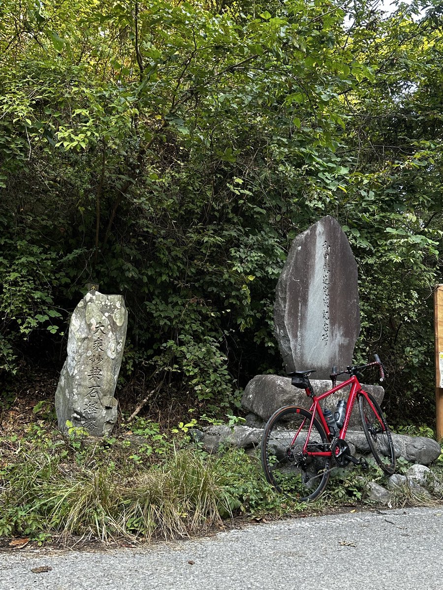 naoki614655's tweet photo. 和田峠
藤野向けダウンヒルは半袖では少し寒かった
とりあえず、晴れてきてよかった😃

#KBOC
#KhodaaBloom https://t.co/ToK7f4vQ9l