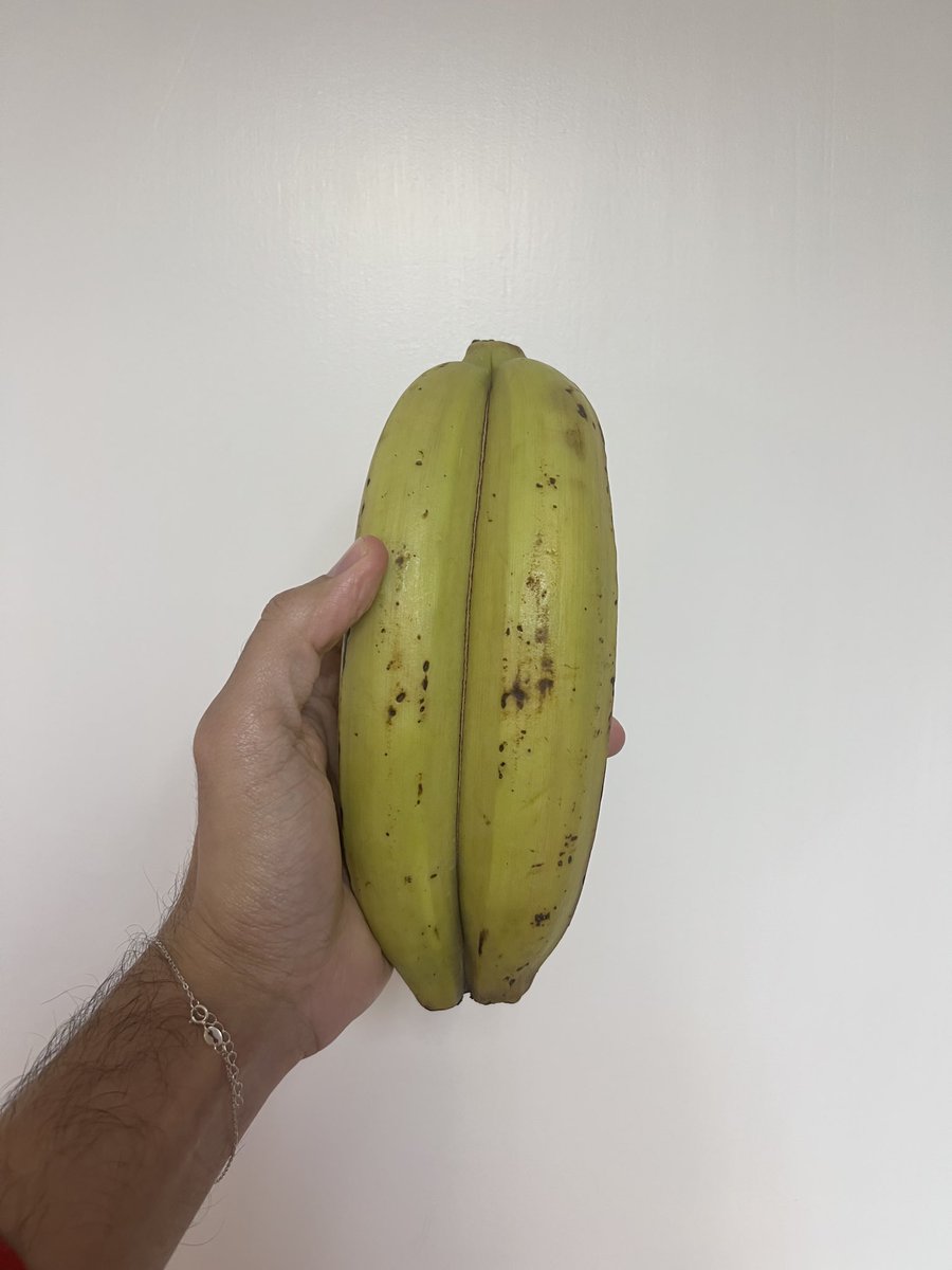 La gringa wanted to charge me twice for the good luck plantain I found at Walmart. 

Was she right? Or is a Latino thing to consider the twin plantains as one?
