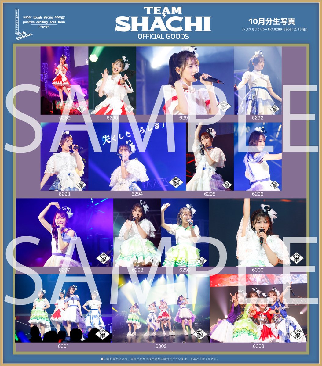 TEAM SHACHI（チームシャチ） on X: 