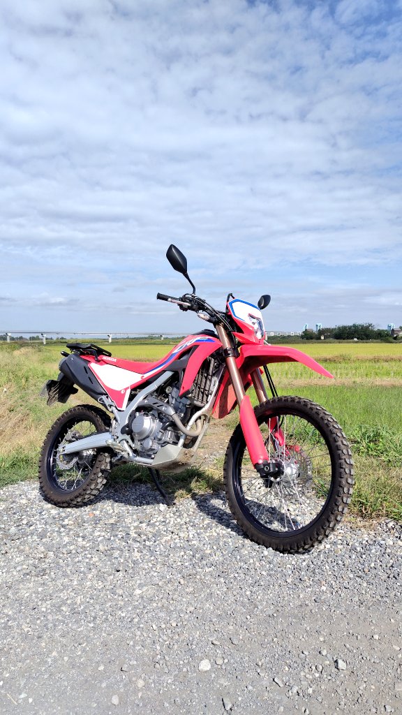 おはようございます
社会復帰頑張ります🐈️