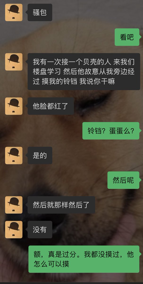 leolee tweet media