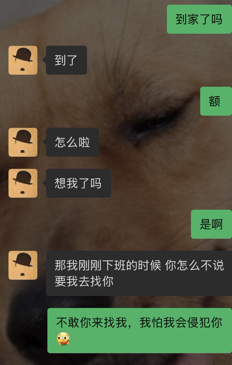 leolee tweet media