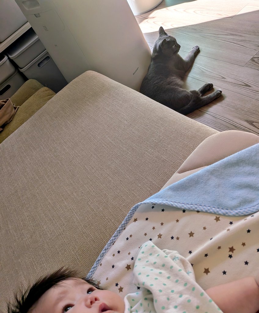 おはようございます

碧さま「付かず離れず(｀・ω・´)ｷﾘｯ」