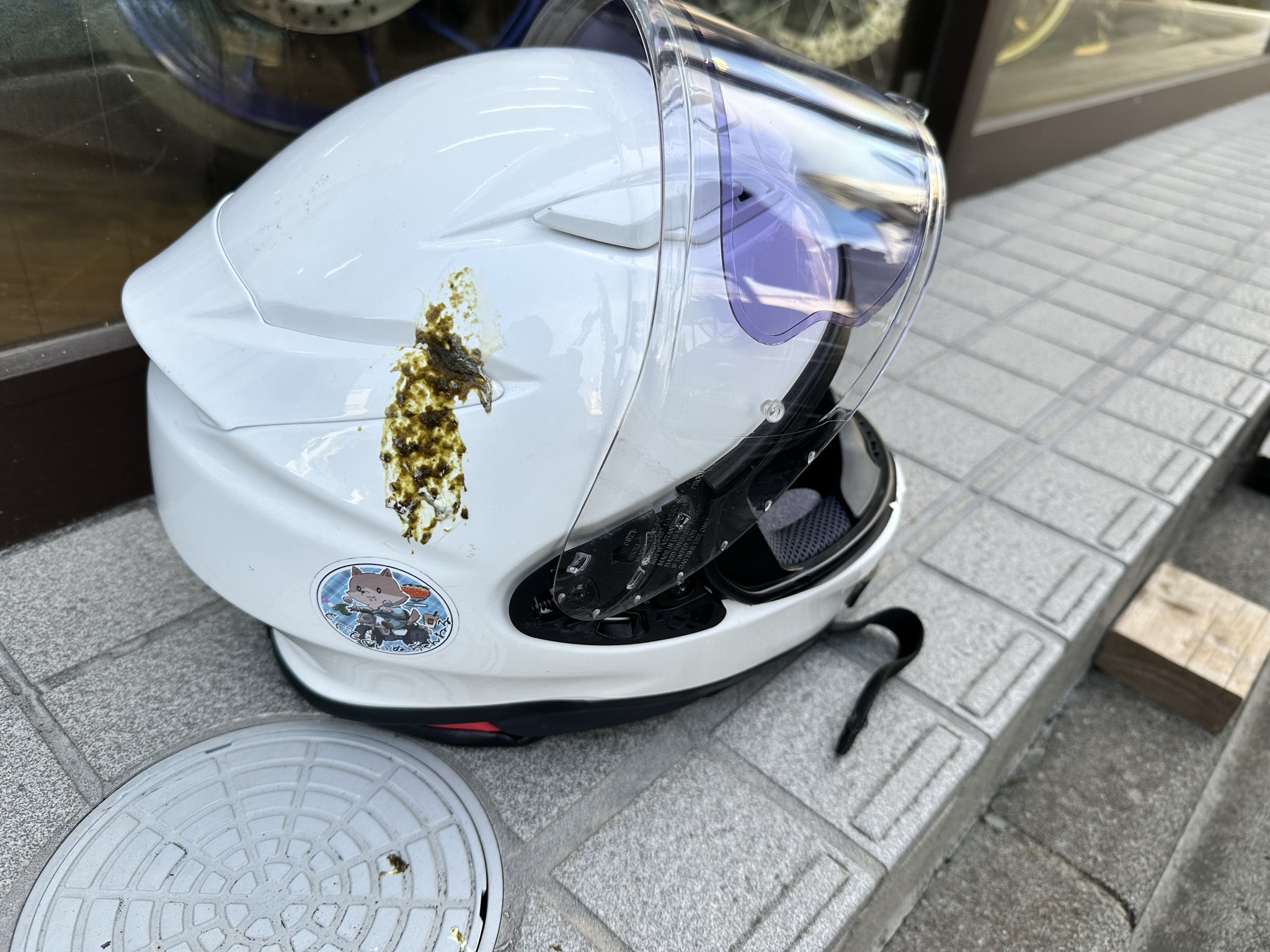 いぬちゃん いぬ🧌 (@inukichirider) / X