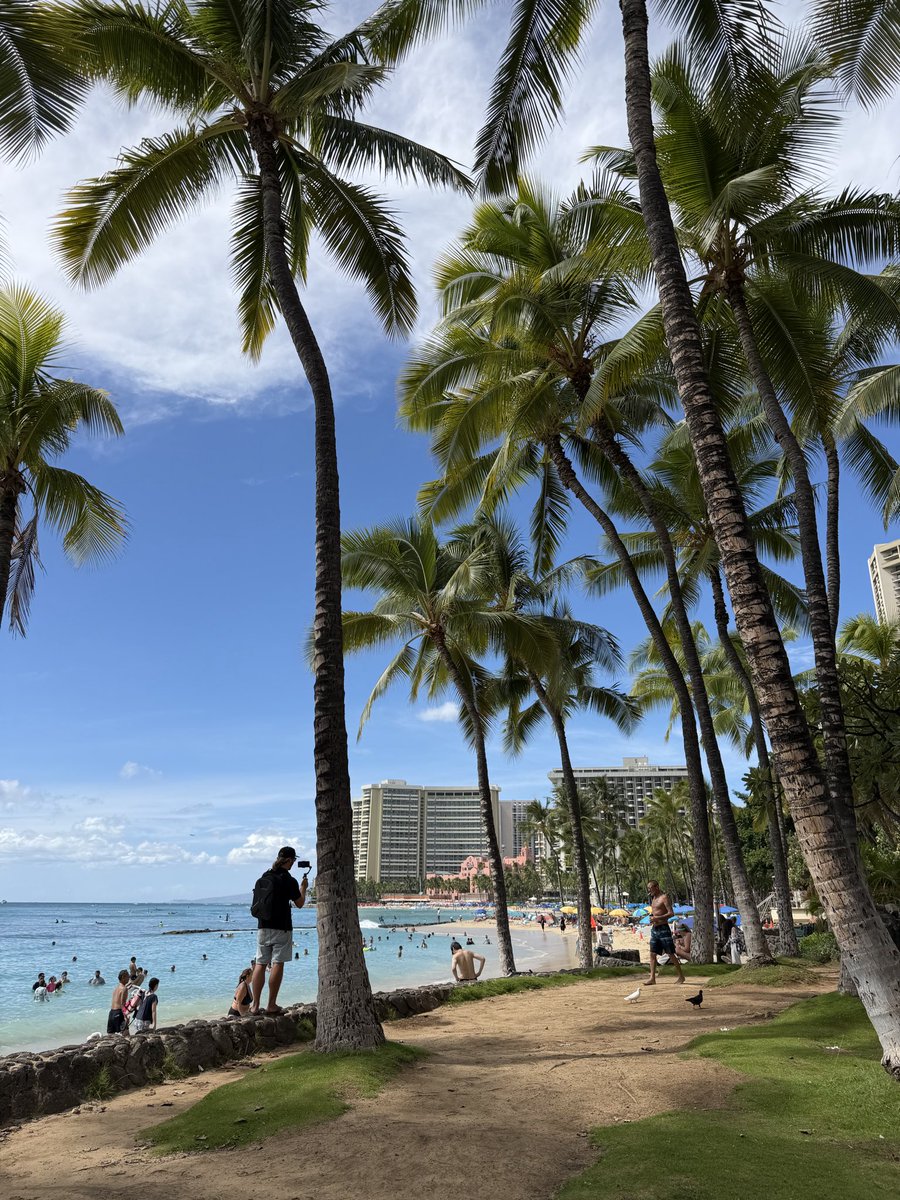 하와이가 답이었다