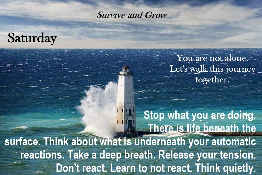 For all of us survivors who are searching for ourselves today: You are not alone. #SaturdayVibes #saturdaymorning #SATURDAY_Challenge #SaturdayMotivation #Saturday #SaturdayMood  mybook.to/0C6hv1Q