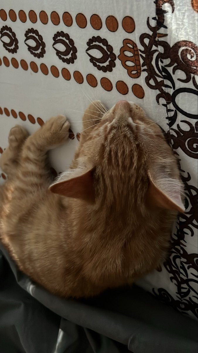 flickslostchild's tweet image. #myson