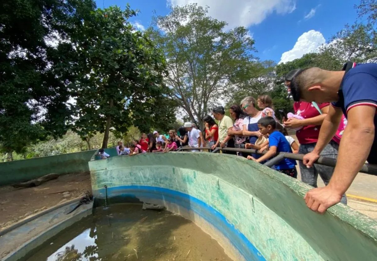 #EsNoticia 🗞️|🧑‍🧑‍🧒‍🧒👏🏼Tras reimpulso liderado por gob <a href="/luisreyespsuv/">Luis Reyes Reyes</a>  instalaciones del Parque Zoológico Botánico Bararida han recibido ➕ de 2000 visitas entre familiares e institucionales a sus espacios a fin de disfrutar de variadas atracciones
#17Oct
#NaGuaraReyesRF