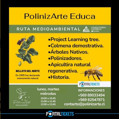 🌿 Descubre la Ruta Medioambiental en el Cementerio General de Recoleta con PolinizArte. Flora nativa, polinizadores y sepulturas de científicos chilenos.
🗓 Mar–Jue | ⏰ 10:00–10:45, 11:00–11:45, 12:00–12:45 | 👧👦 7+
📍Recreo info: +56989033494