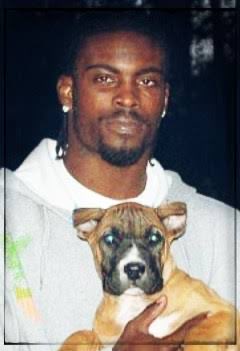 Own the dogs <a href="/nahsbarstool/">Barstool NA</a>