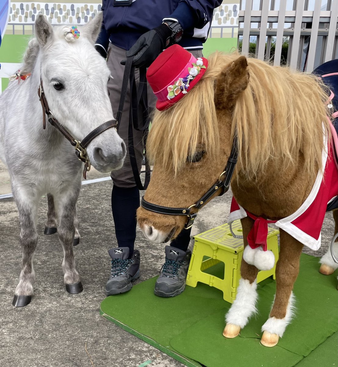 JRA福島競馬場 (@JRAFUKUSHIMA) / Posts / X