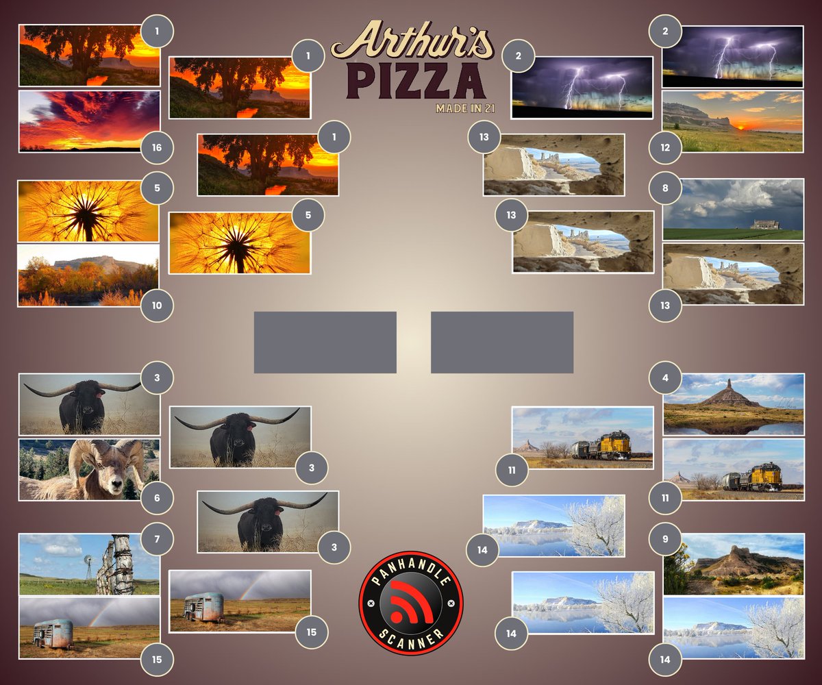 diggingdeeperus's tweet image. Wow! Two photos from the lower ranks (out of the 16 very best photos submitted) have made it to the finals, along with two of the top finalists!

- Ditch Bank Tree vs Bull in Pasture
and 
- Unique Perspective vs Winter Time
panhandlescanner.com