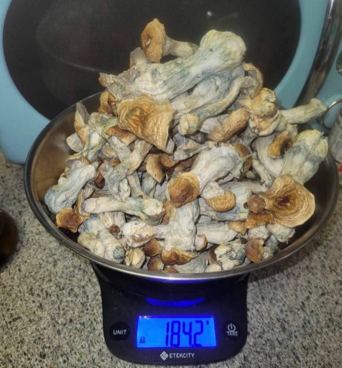 JacyRichardsonn's tweet photo. #htxplug #houstonweed #texasweed #houstonplug
#houstongas #Gas #WeedLife #plughtx #weedhouston
#Houstonplug #houstoncarts #Houstonweed #pearland #Stafford #westchase #Houstongas #Houston #SwHouston #houstonzaza
Hella different shroom strains In!
Need em gone fast ! https://t.co/LB95msR3hx